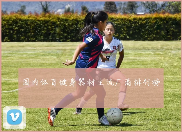 国内体育健身器材主流厂商排行榜