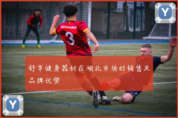 舒华健身器材在湖北市场的销售及品牌优势