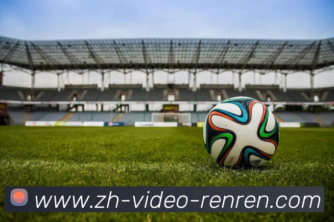 多媒体互动体验